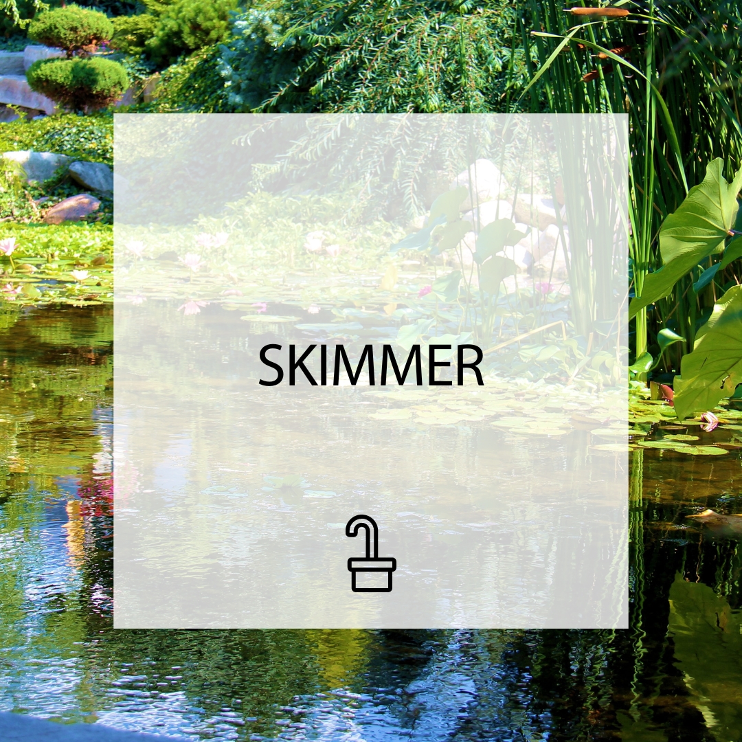 Skimmer