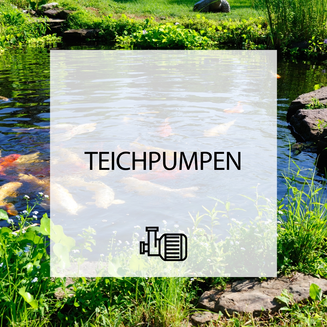 Teichpumpen