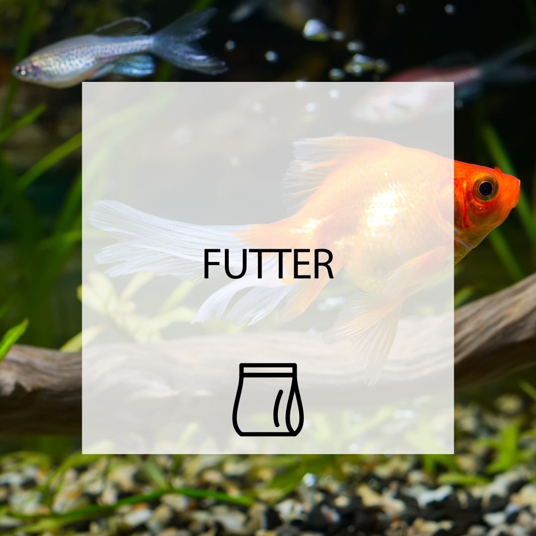 Futter