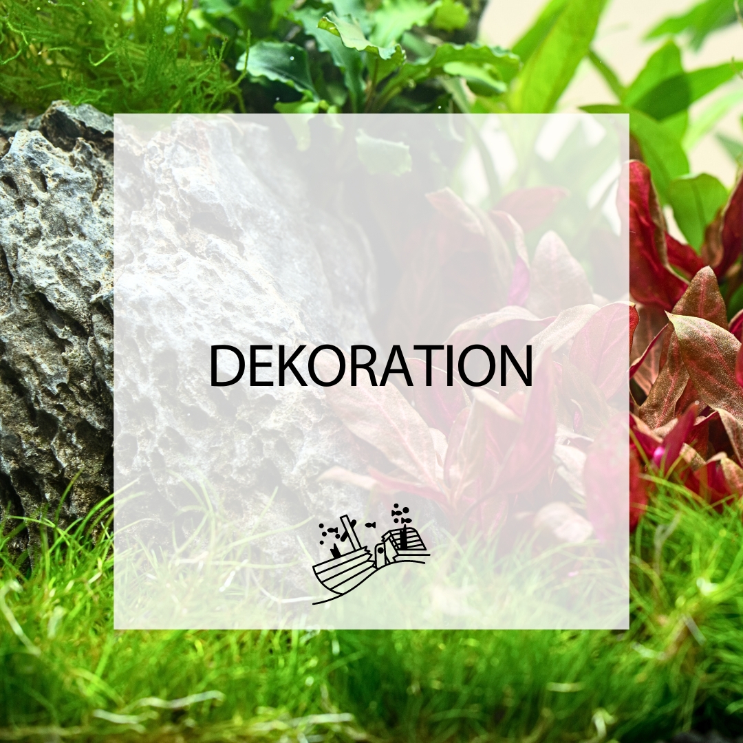 Dekoration